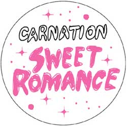 http://www.carnation-web.com/news/ohashi_badge_web.jpg